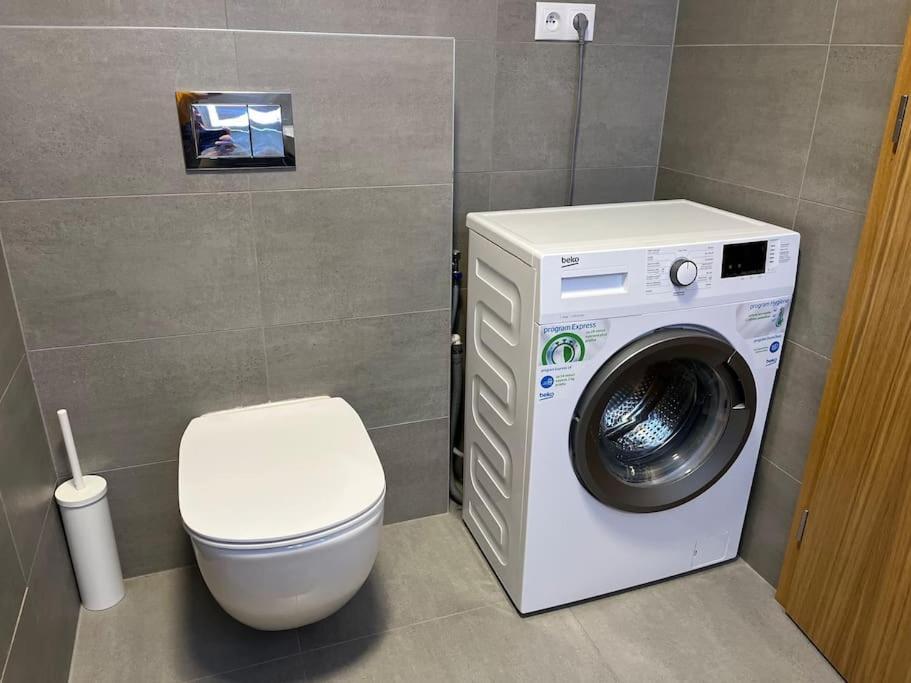 Apartman Holesovice,Balkon,Garaz 布拉格 外观 照片