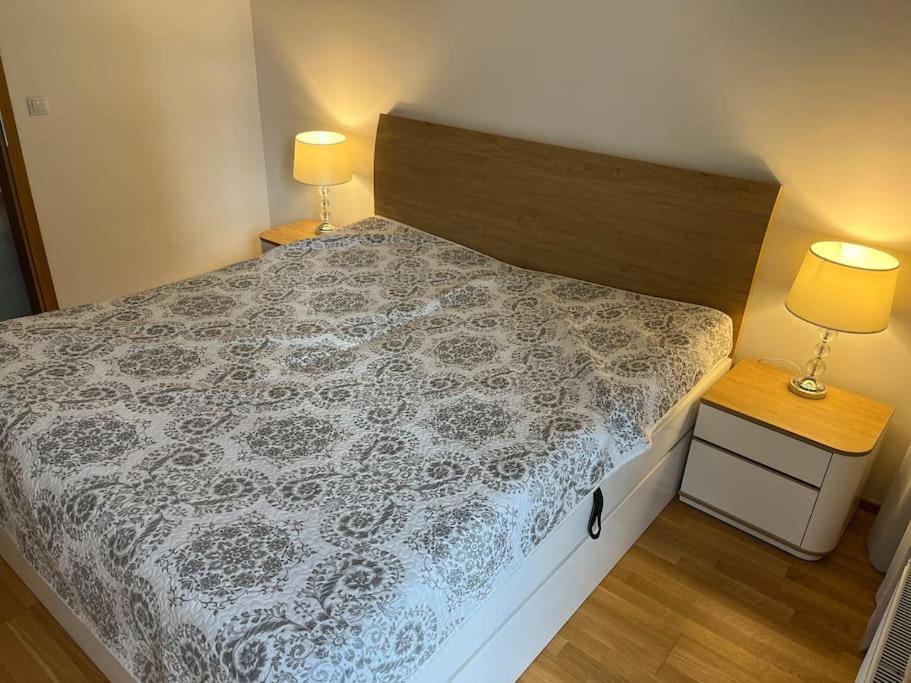 Apartman Holesovice,Balkon,Garaz 布拉格 外观 照片